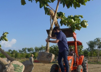 El vivero ‘Río Dulce’, donde crecen los sueños de una biodiverciudad en Barranquilla