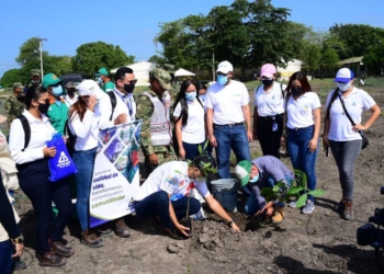 Air-e donó 1.337 árboles para jornada de siembra en el Batallón del Ejército en Malambo