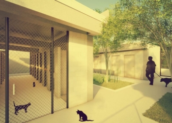 Barranquilla tendrá un centro integral para los animales que habitan en las calles