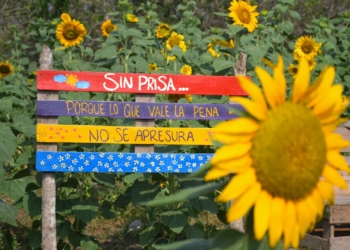 ¿Qué hacer en el Atlántico?: Planes turísticos para disfrutar el departamento en los días de Carnaval