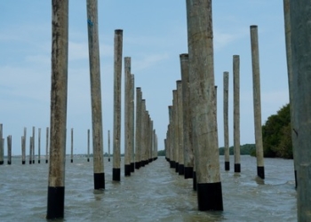 En julio terminará el hincado de pilotes de la primera etapa del Ecoparque de la ciénaga de Mallorquín