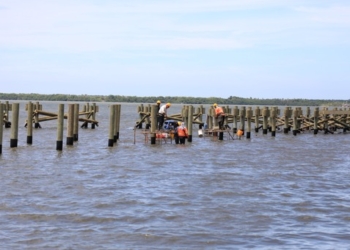 Empezó estabilización de estructuras que soportarán senderos y ciclorrutas sobre Mallorquín