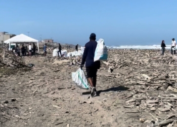 Este domingo 22 de mayo jornada de limpieza de playas en Punta Roca