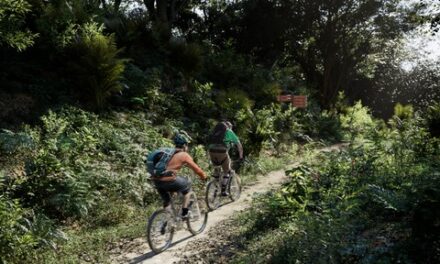 684 visitantes por día y 140 ciclistas podrá recibir la pista de ciclomontañismo del Bosque Urbano de Miramar