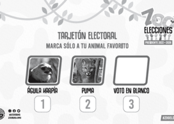 En el zoológico también habrá segunda vuelta este domingo