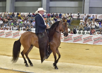 Abrió Agroexpo Caribe 2022, el campo llegó a la ciudad, en Puerta de Oro