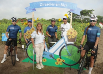 Un jardín de girasoles, el nuevo atractivo para los ciclistas del Atlántico