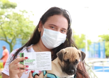 Barranquilla completa 20 años sin casos de rabia humana transmitida por animales