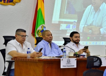 Concejo pasa a sanción del alcalde proyecto de alivio tributario