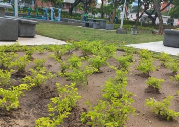 Entrega de obras del parque Cristo Rey será epicentro de una jornada de solidaridad por familias afectadas