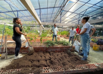 Promoción y formación en agricultura urbana, un paso más que fortalece a Barranquilla como biodiverciudad 