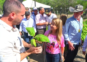 «Aprobados créditos por más de 3.700 millones de pesos para la siembra de cacao en Suan y Santa Lucía»: Elsa Noguera