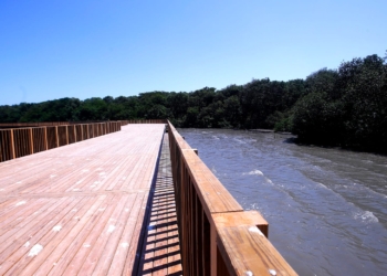 Ecoparque Mallorquín, un tesoro natural de Barranquilla para el mundo 