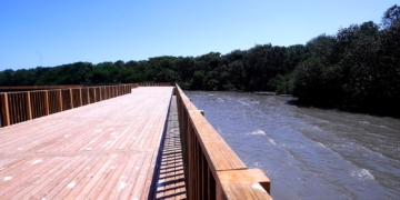 Ecoparque Mallorquín, un tesoro natural de Barranquilla para el mundo 