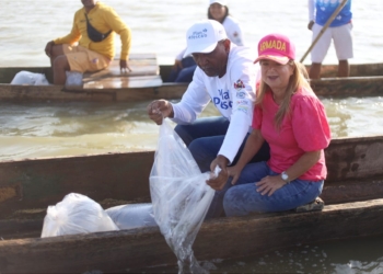“Repoblamos con 500 mil alevinos la Ciénaga del Totumo para seguir aumentando la captura de peces”: Elsa Noguera