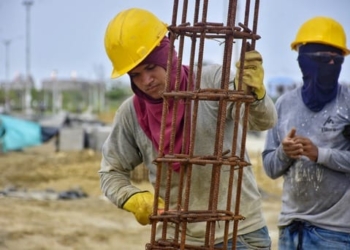 Nuevo sector del Gran Malecón contará con bosque urbano y más vegetación