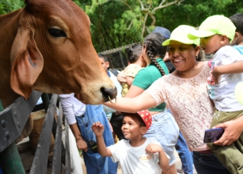 Gobernación llevó a más de 7 mil atlanticenses a vivir por segunda vez la experiencia de Maloka Viajera