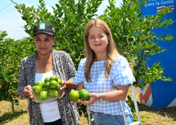 Avanza la transformación agroindustrial del sur del Atlántico con cultivos de palma de aceite, limón, cacao y plátano