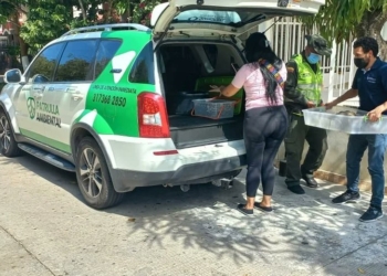 1.753 animales víctimas de tráfico ilegal han sido devueltos a su hábitat natural