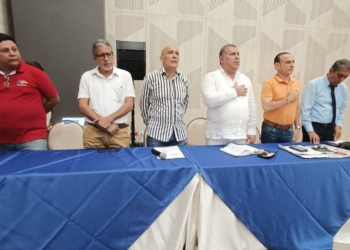 Nace «Fuerza Caribe»: una coalición de partidos y movimientospolíticos