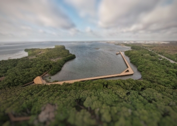 Ecocultura, el legado que inicia con la ciénaga de Mallorquín