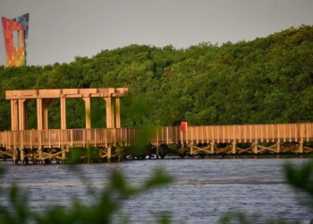 La ciénaga de Mallorquín, el tesoro barranquillero que abre sus puertas desde este fin de semana
