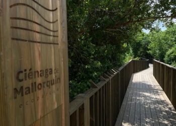 Transmetro habilita ruta para llegar al Ecoparque Ciénaga de Mallorquín