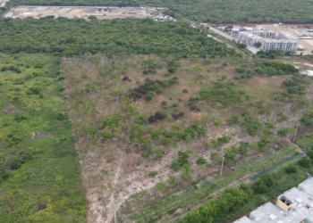 Bosques urbanos, la apuesta de Barranquilla para combatir el cambio climático