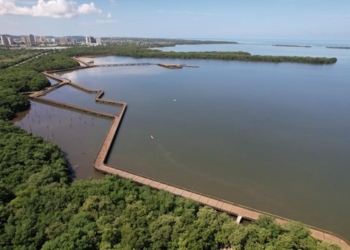 Habilitan nuevos senderos del Ecoparque Ciénaga de Mallorquín
