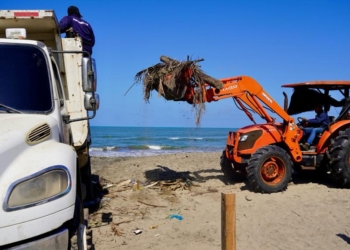 Gobernación del Atlántico recuperó zona de mangles en Puerto Colombia