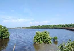 C.R.A alerta por la posible mortandad de peces en los humedales por condiciones climáticas