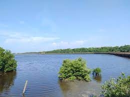 C.R.A alerta por la posible mortandad de peces en los humedales por condiciones climáticas