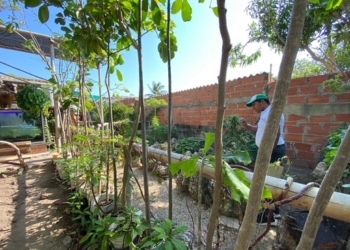 Aliados internacionales evidencian impacto positivo de huertas comunitarias en sectores vulnerables de Barranquilla