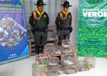 En esta Semana Santa la invitacion es proteger la fauna silvestre