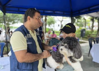Gran participación en la jornada de atención a mascotas en la Plaza de la Paz