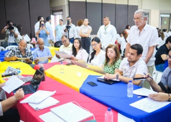 RAP Caribe define Plan Estratégico Regional hasta el año 2035
