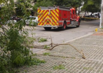 Distrito atiende emergencias ocasionadas por lluvia y fuertes vientos 