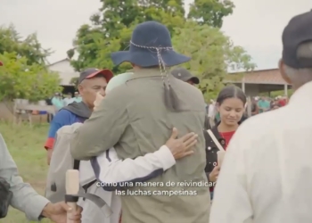 CAMPESINOS DE LOS MONTES DE MARÍA RETORNAN A13 MIL HECTÁREAS DE ESTA REGIÓN.