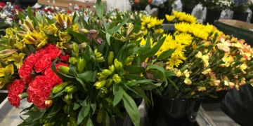 Miami se llenó de flores colombianas en el Día de las Madres, la temporada más grande de Avianca Cargo