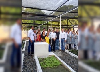 Nuevos viveros producirán más de 30.000 plántulas al año en el sur del Magdalena